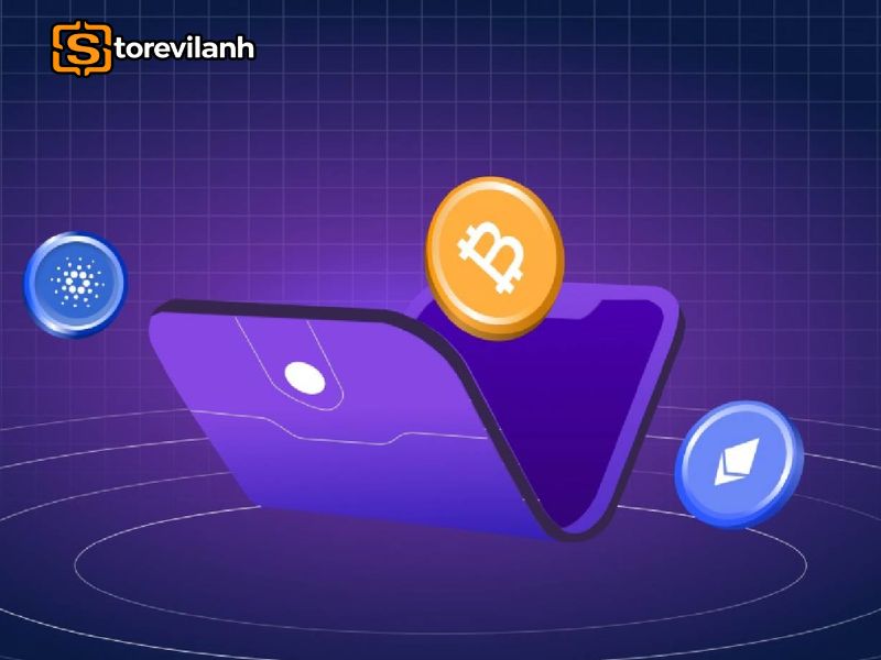 V&iacute; crypto chỉ giữ Private Key, ai c&oacute; kh&oacute;a sẽ to&agrave;n quyền t&agrave;i sản số