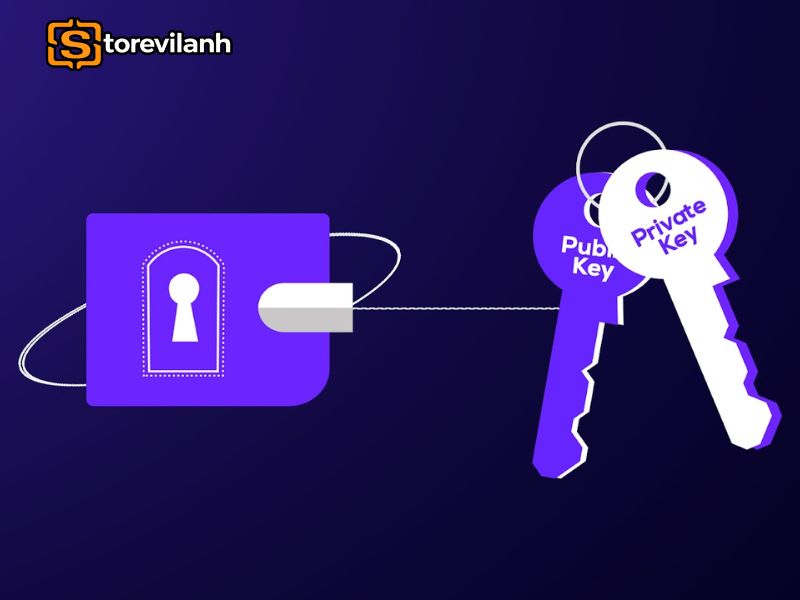 Private Key c&oacute; nhiều dạng (hex, 256bit, QR, Seed Phrase) được tạo n&ecirc;n bởi những thuật to&aacute;n m&atilde; h&oacute;a tinh vi