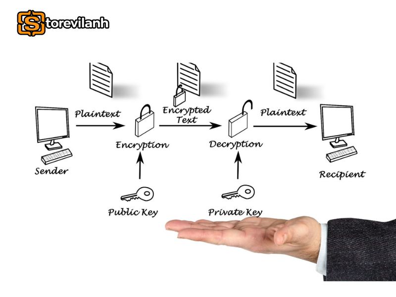 Nhập đ&uacute;ng XPUB cho từng loại địa chỉ gi&uacute;p hiển thị v&agrave; theo d&otilde;i số dư ch&iacute;nh x&aacute;c tr&ecirc;n Trezor Suite