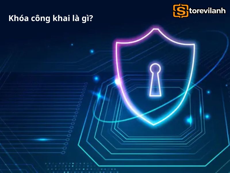Khóa công khai là gì? Cách hoạt động trong ví crypto