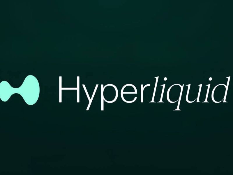 Hyperliquid l&agrave; giao thức DEX hiệu suất cao chuy&ecirc;n về hợp đồng vĩnh cửu, sử dụng m&ocirc; h&igrave;nh sổ lệnh on-chain &nbsp;