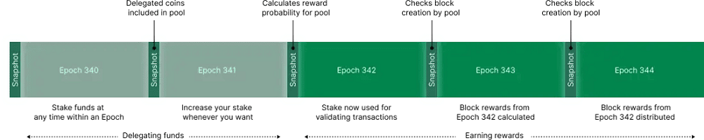 Cardano ph&acirc;n phối phần thưởng theo chu kỳ epoch
